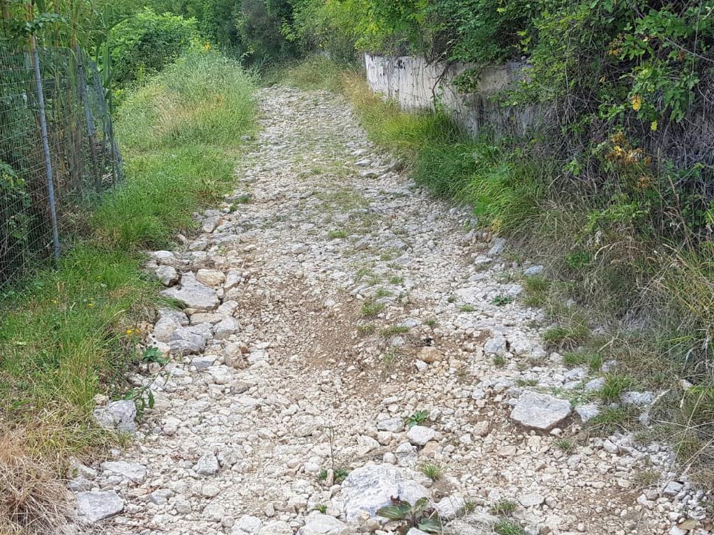 Viabilit e strade